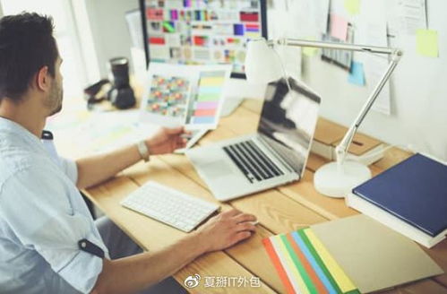 上海優(yōu)質(zhì)IT外包與軟件服務(wù)公司概覽